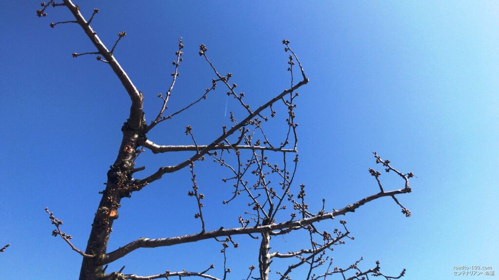 blue sky